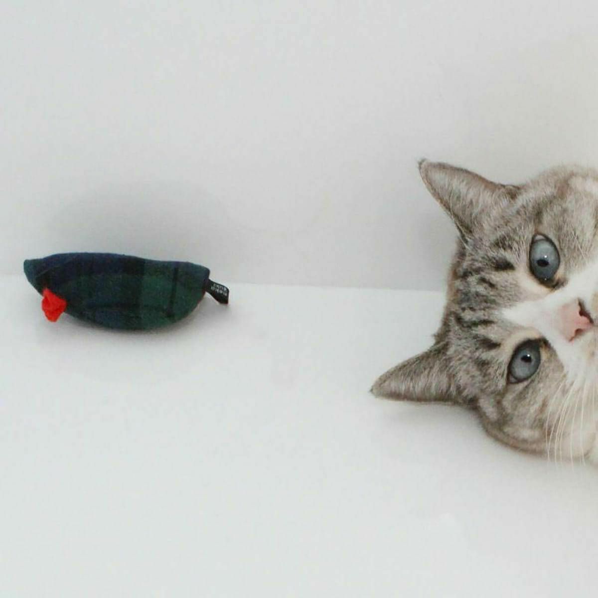 音がなるネズミの猫用おもちゃ。ねこずきねずみ2個セット