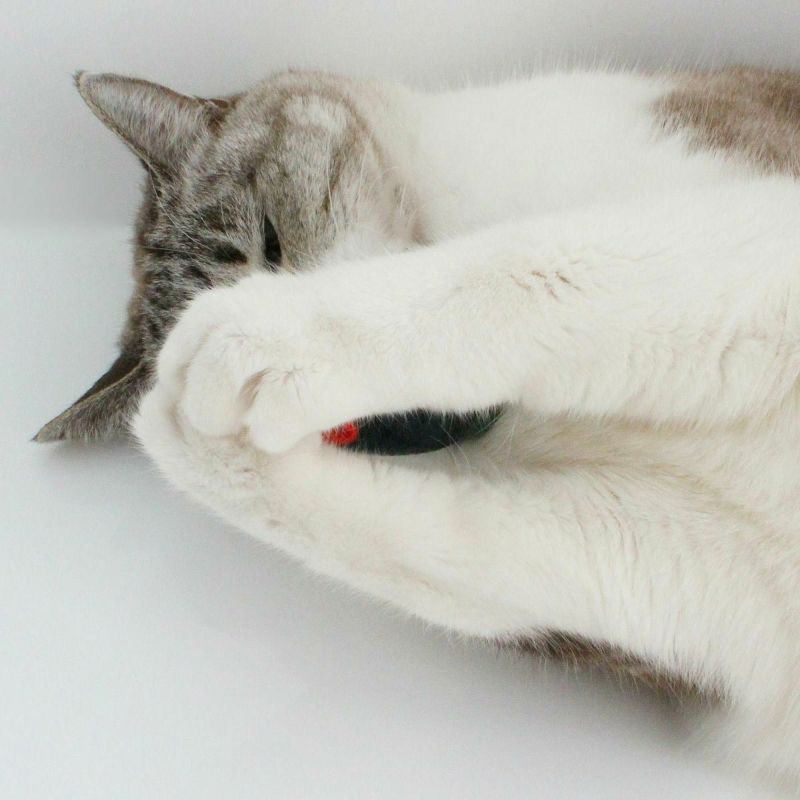 音がなるネズミの猫用おもちゃ。ねこずきねずみ3個セット