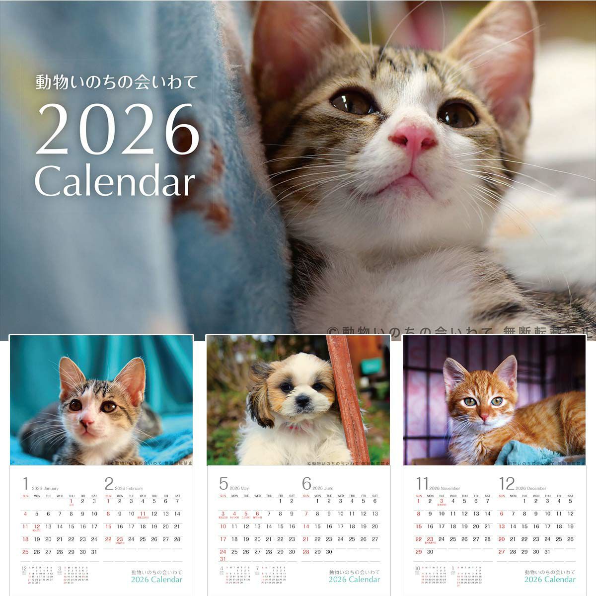 猫さんの秋冬のおすすめグッズ：ねこずきのふりかけ 遠野鹿 1袋（9g） 3個セット