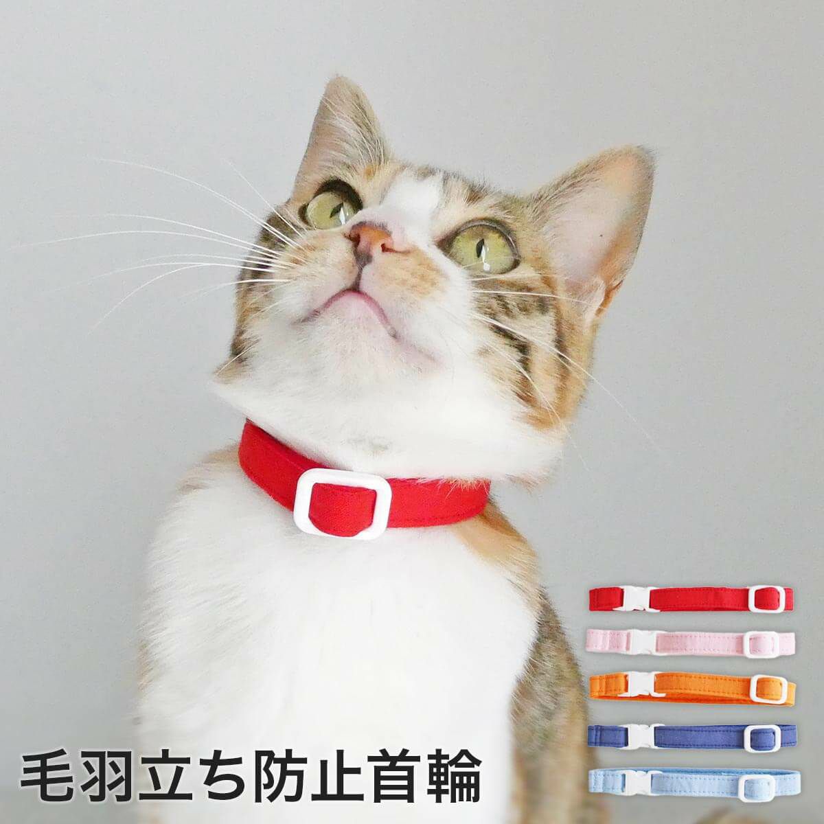 猫の首輪☆セーフティロック付き☆ www.krzysztofbialy.com