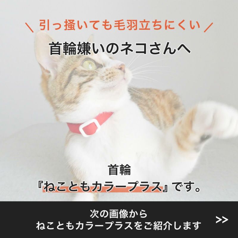 引っ掻いても毛羽立ちにくい首輪、ねこともカラー・プラス