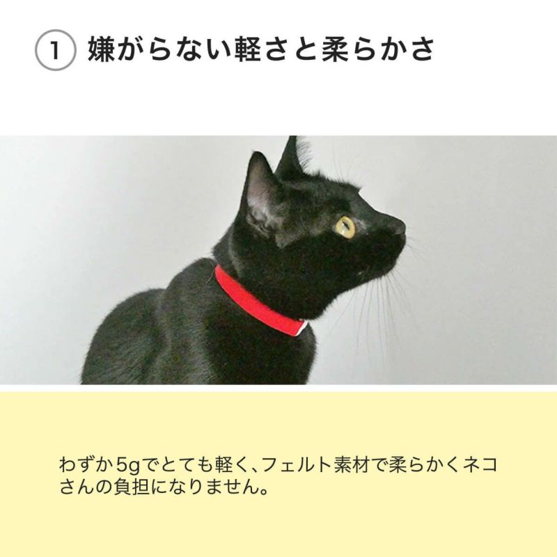 ねこともカラー・プラスは嫌がらない軽さと柔らかさ