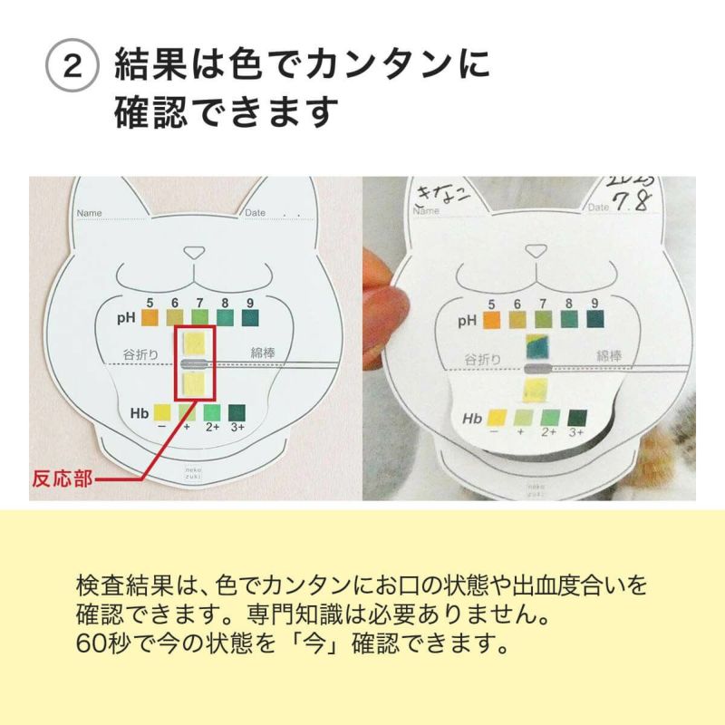 口腔内検査キットおくちあーんの結果はカンタンに確認できます