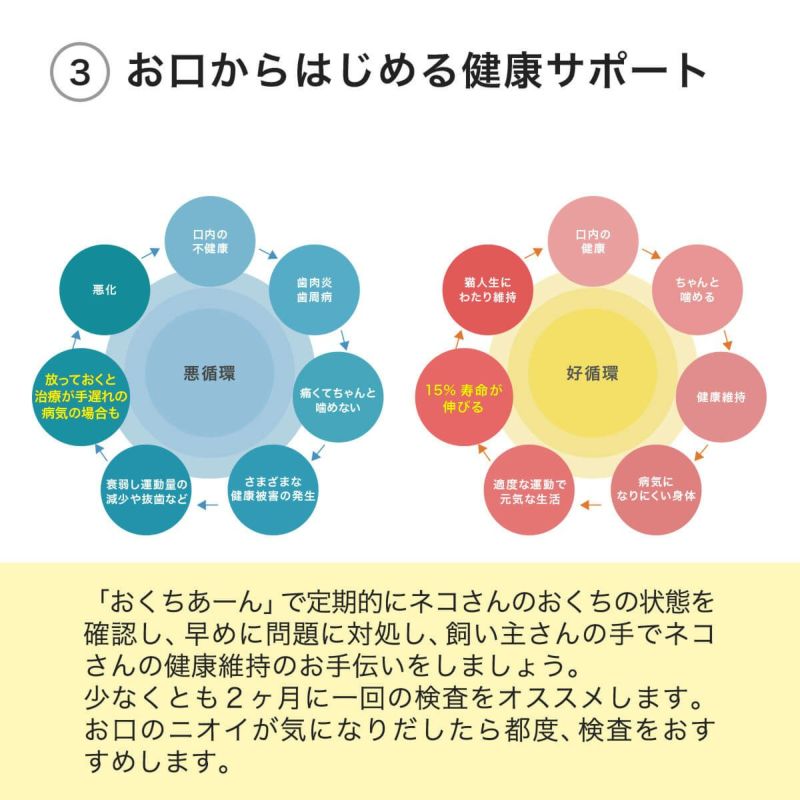 口腔内検査キットおくちあーんでお口からはじめる健康サポート