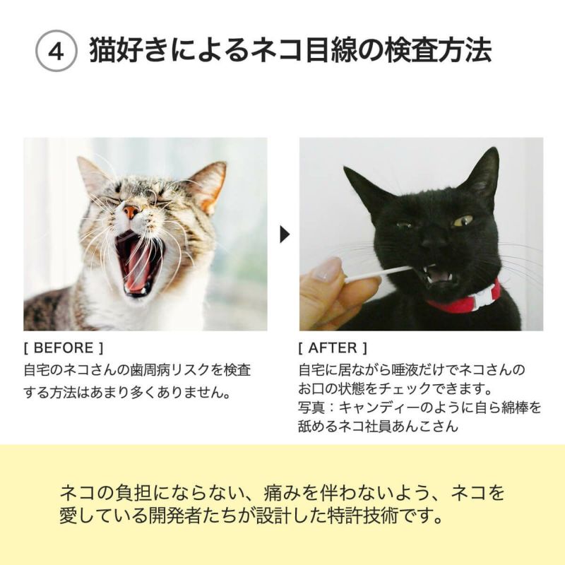 口腔内検査キットおくちあーんの猫好きによるネコ目線の検査方法