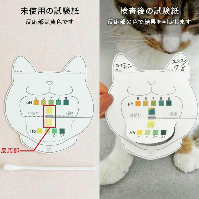 猫のおくちの健康をおうちで気軽にチェック！猫の口腔内の簡易検査キットおくちあーん