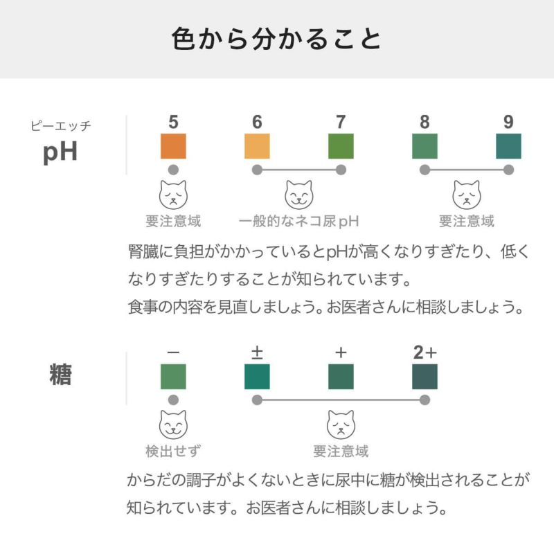 尿検査キットおしっことるよの色からわかること