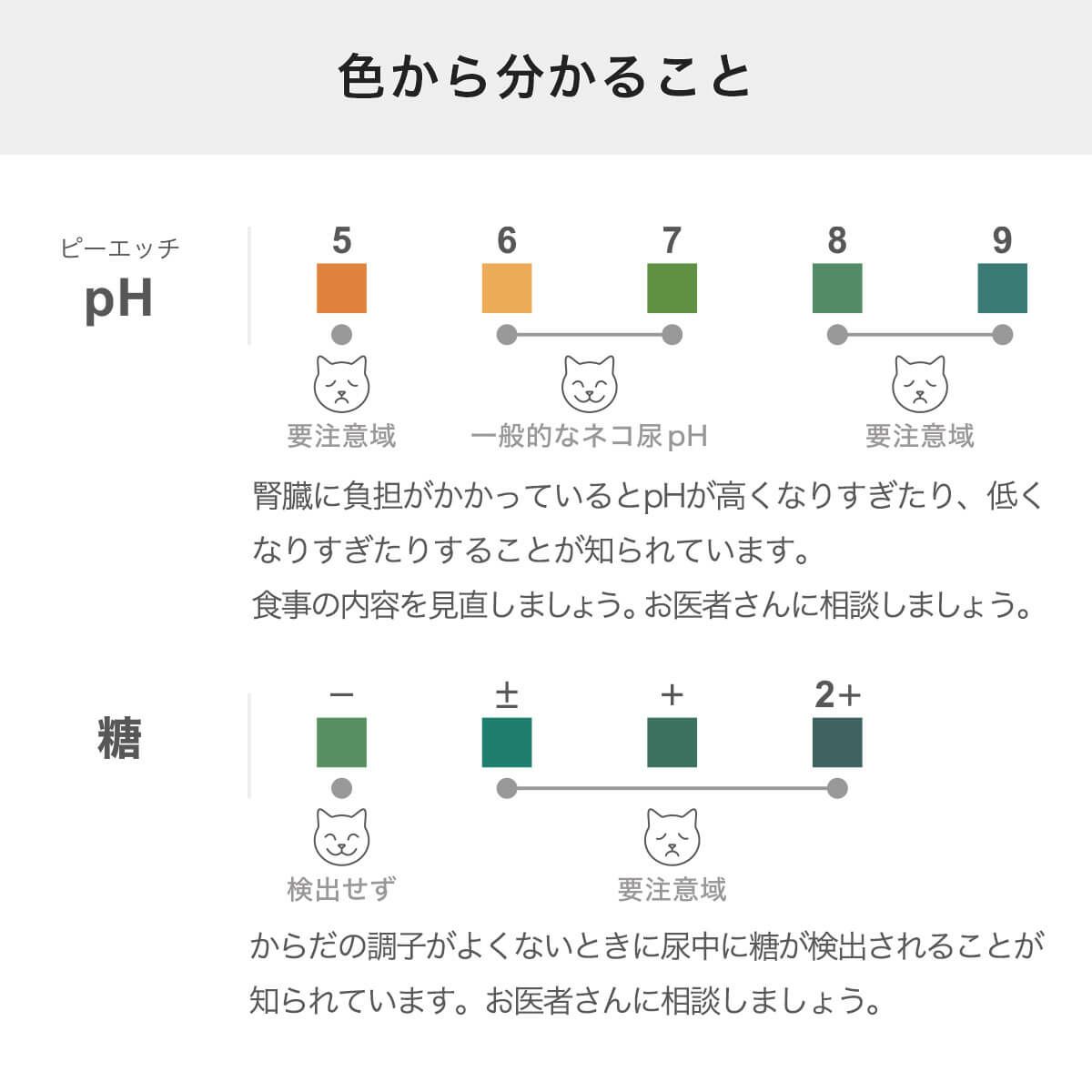 尿検査キットおしっことるよの色からわかること
