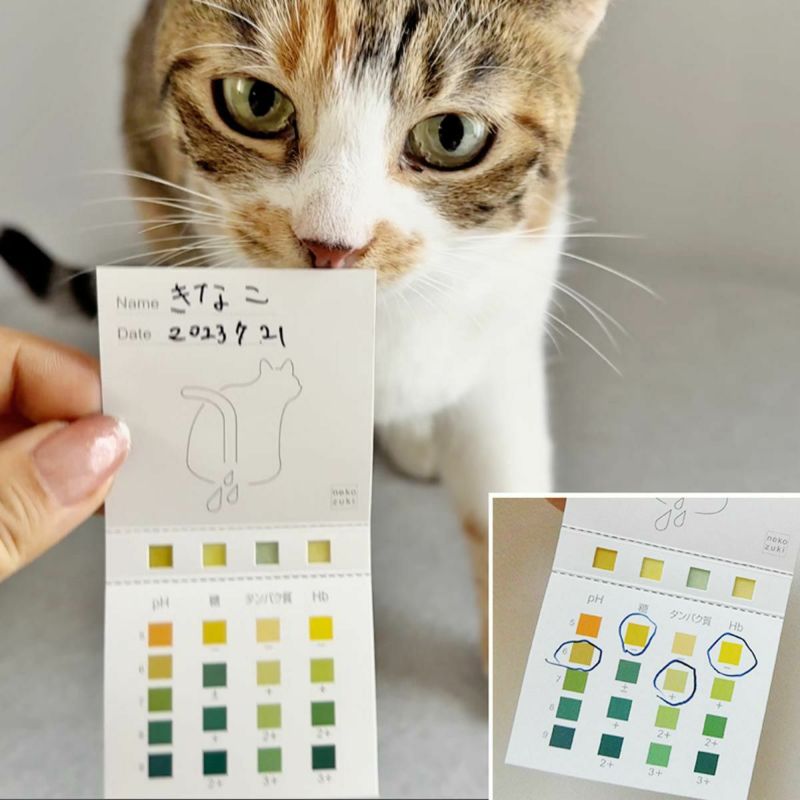 猫の尿の成分をおうちで気軽にチェックできる簡易検査キット