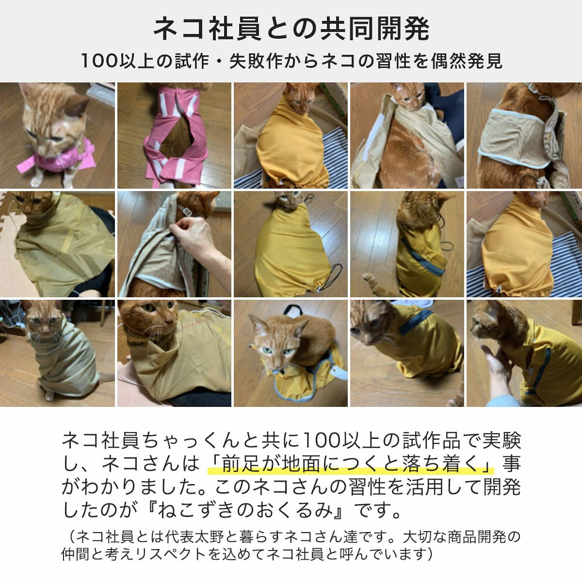 ねこずきのおくるみはネコ社員との共同開発
