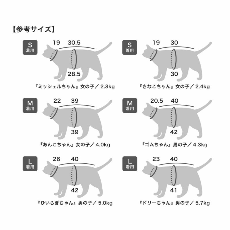 参考サイズ