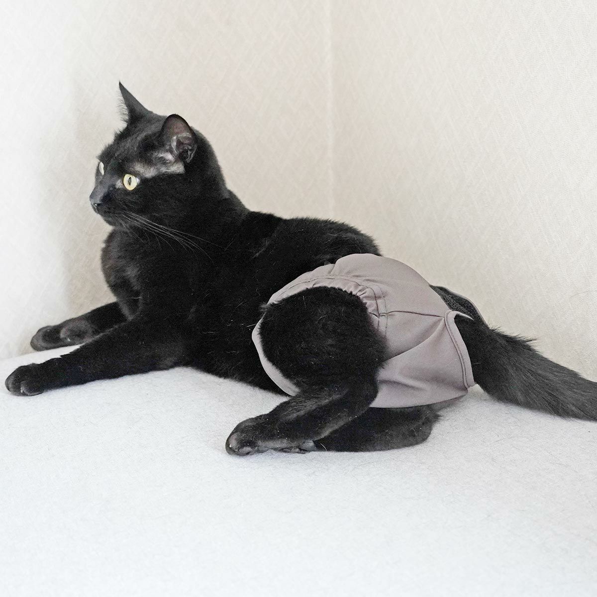 在宅介護ネコさんとの生活を快適にする猫用おむつカバー、ねこずきのおむつカバー