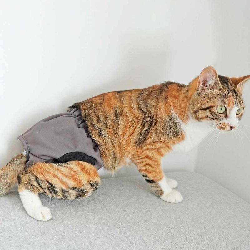 在宅介護ネコさんとの生活を快適にする猫用おむつカバー、ねこずきのおむつカバー