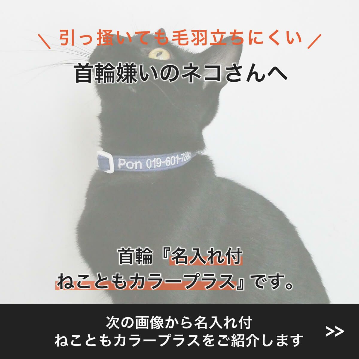 引っ掻いても毛羽立ちにくい首輪、名入れ付ねこともカラー・プラス