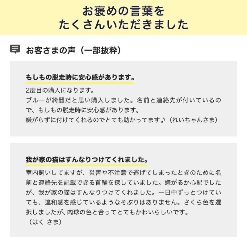 名入れ付ねこともカラー・プラスお客様の声