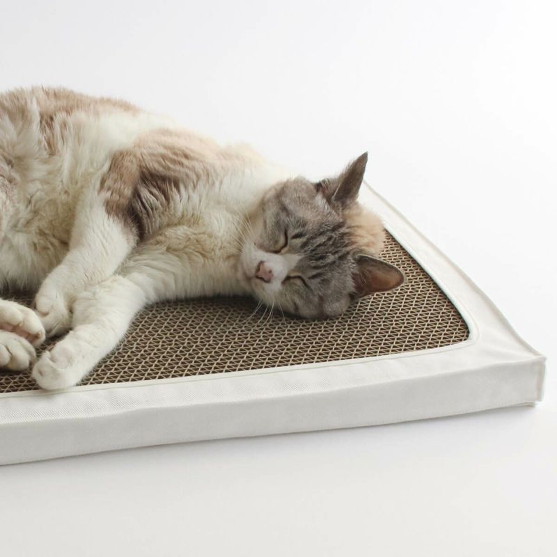 猫用の布製爪とぎベッド。体がはみ出るストレス対策におすすめ