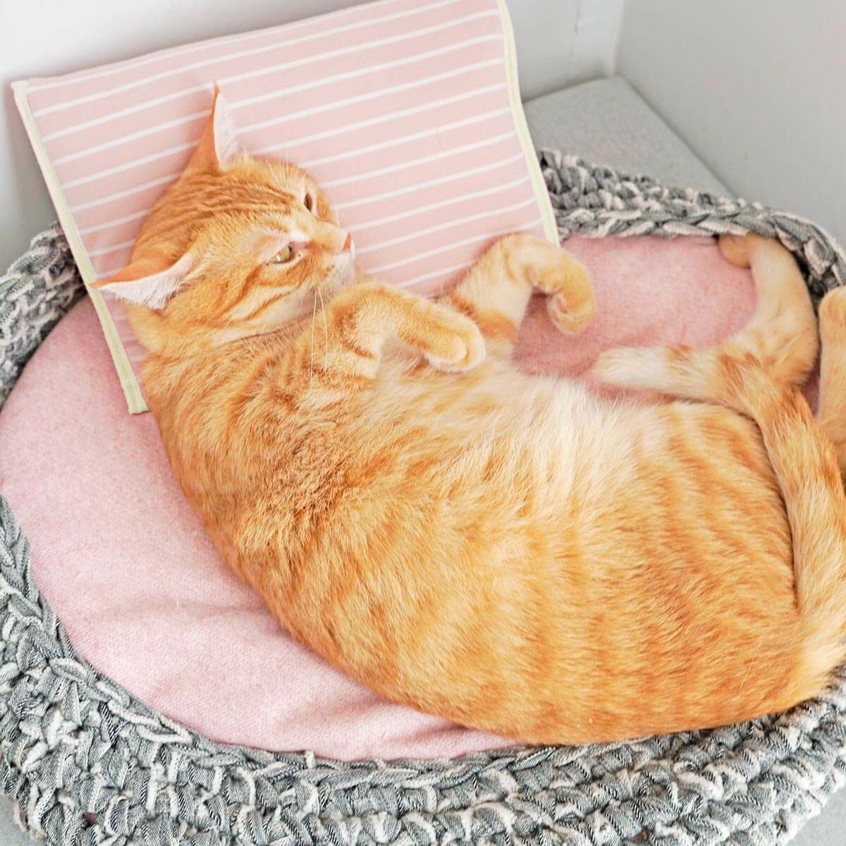 電気を使わない、あったか防寒グッズ。ぽかぽかマットPOCKET