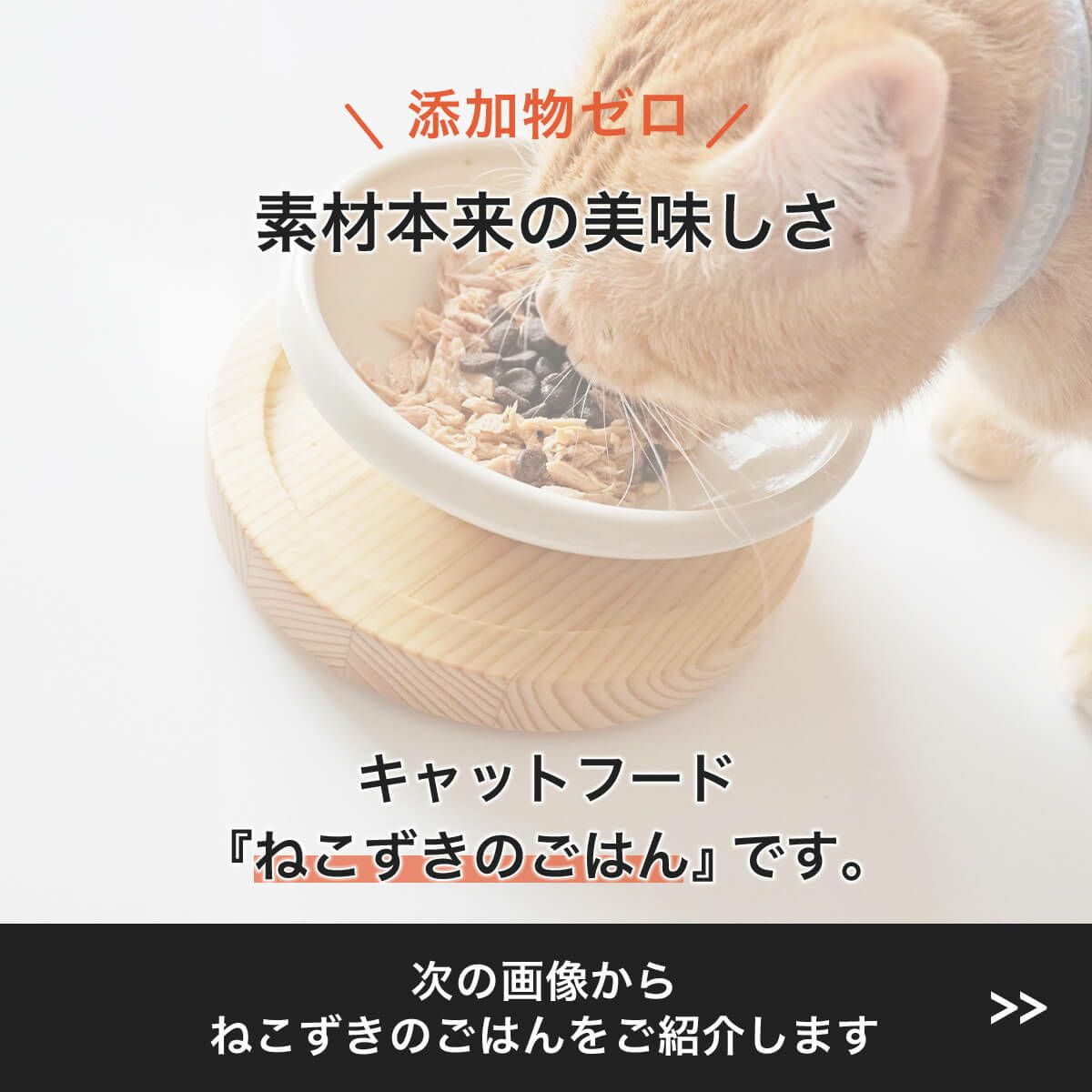 無添加のウェットフードねこずきのごはん