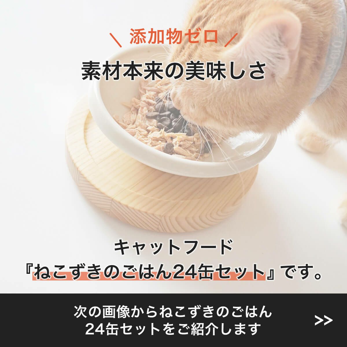 無添加のウェットフードねこずきのごはん