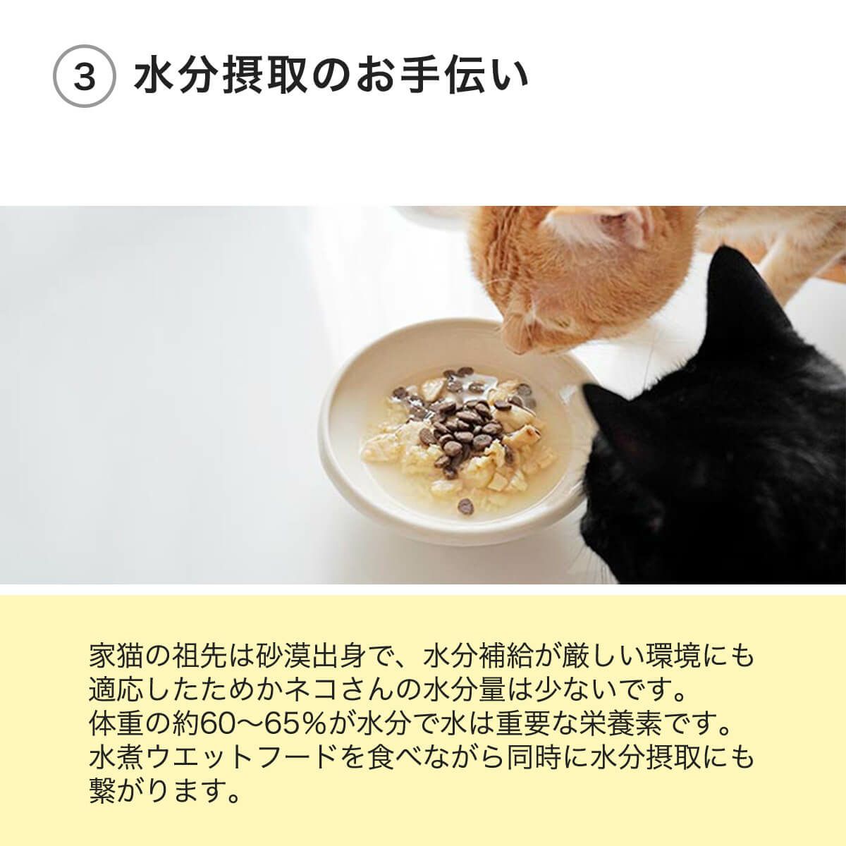 ねこずきのごはんで水分摂取のお手伝い