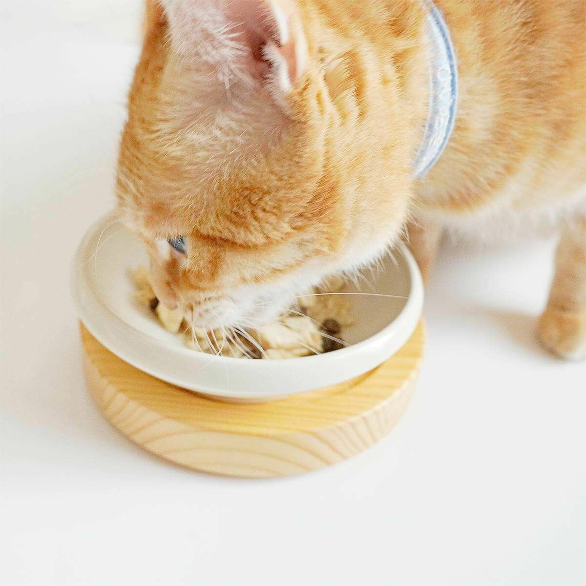 無添加のウェットフードねこずきのごはん