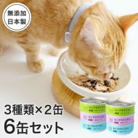 無添加のウェットフードねこずきのごはん