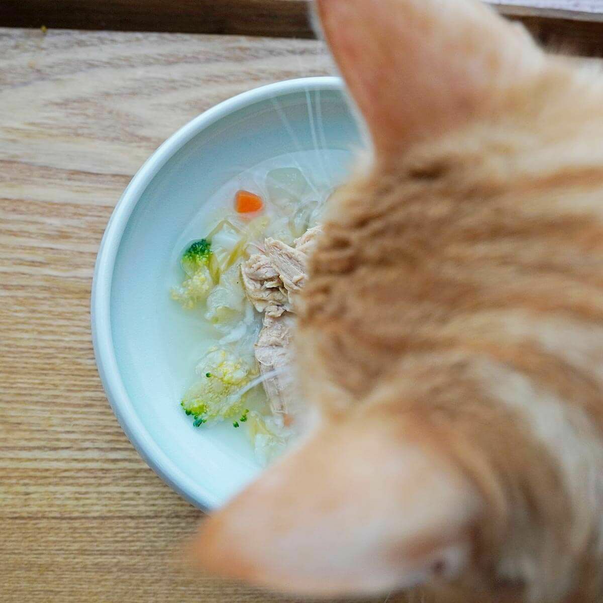 無添加のウェットフードねこずきのごはん