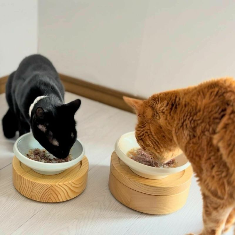 無添加のウェットフードねこずきのごはん