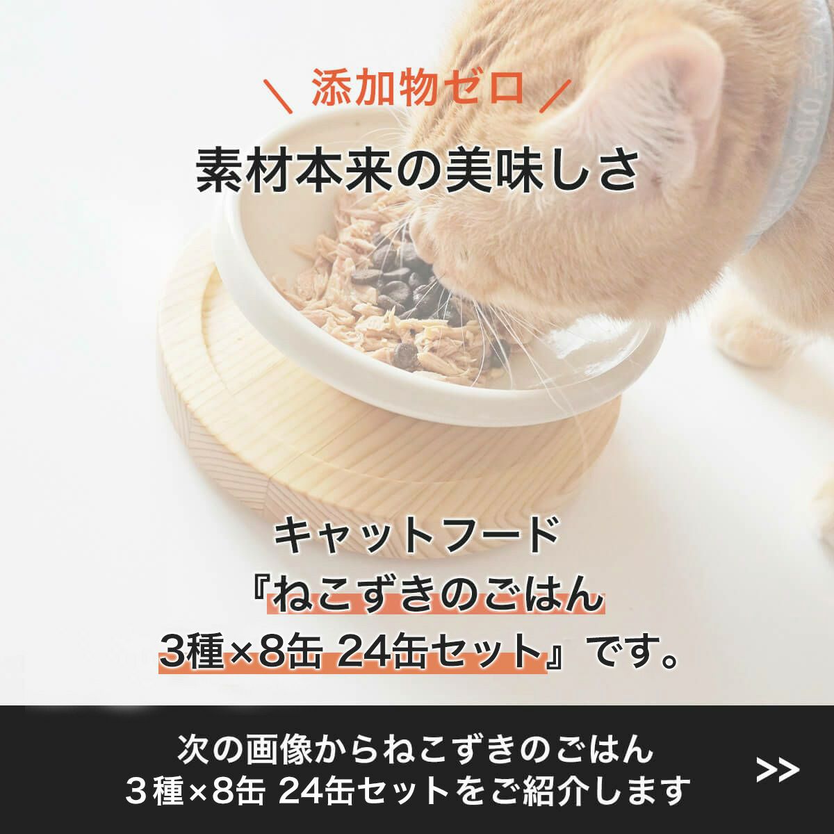 無添加のウェットフードねこずきのごはん