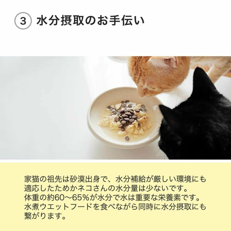 ねこずきのごはんで水分摂取のお手伝い