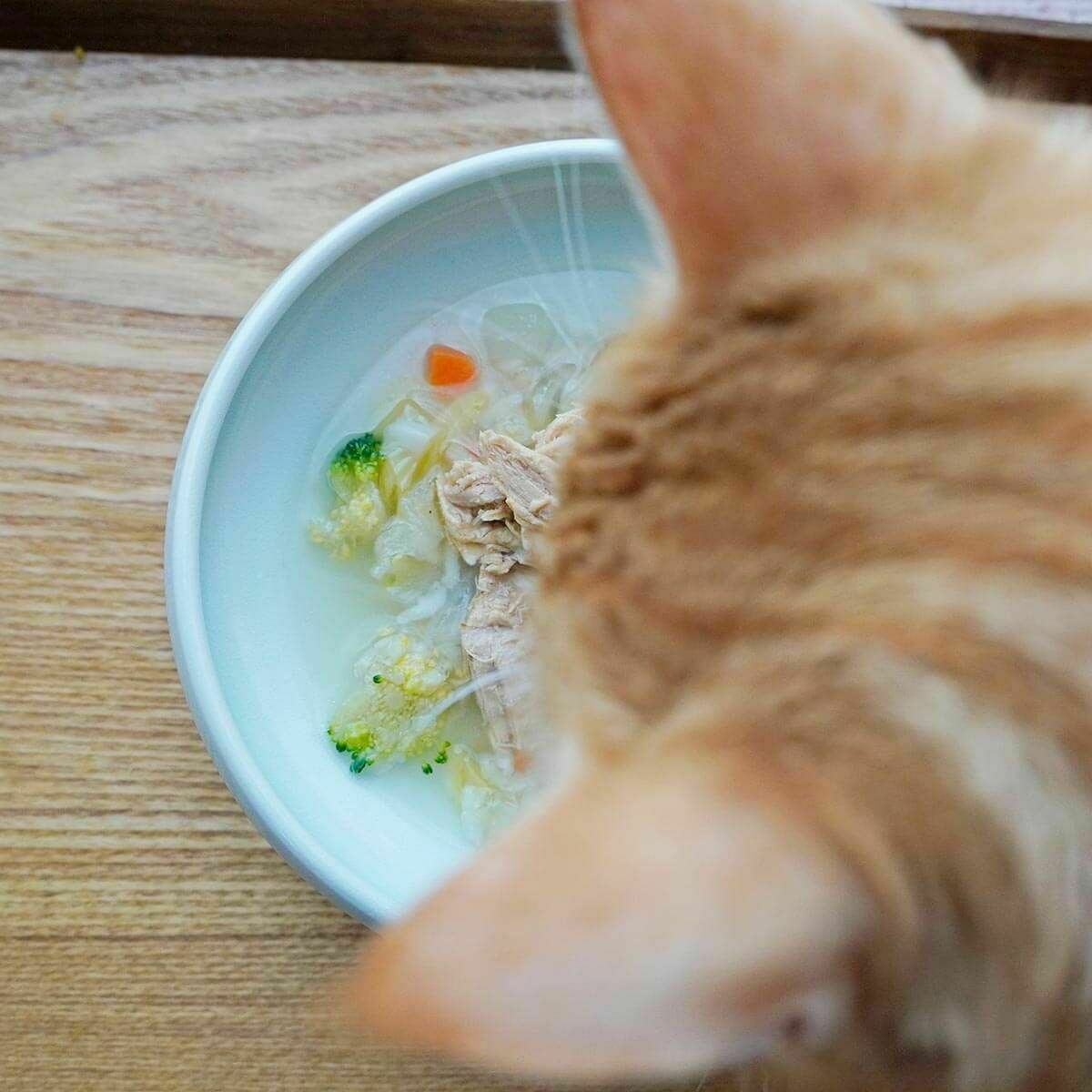 無添加のウェットフードねこずきのごはん