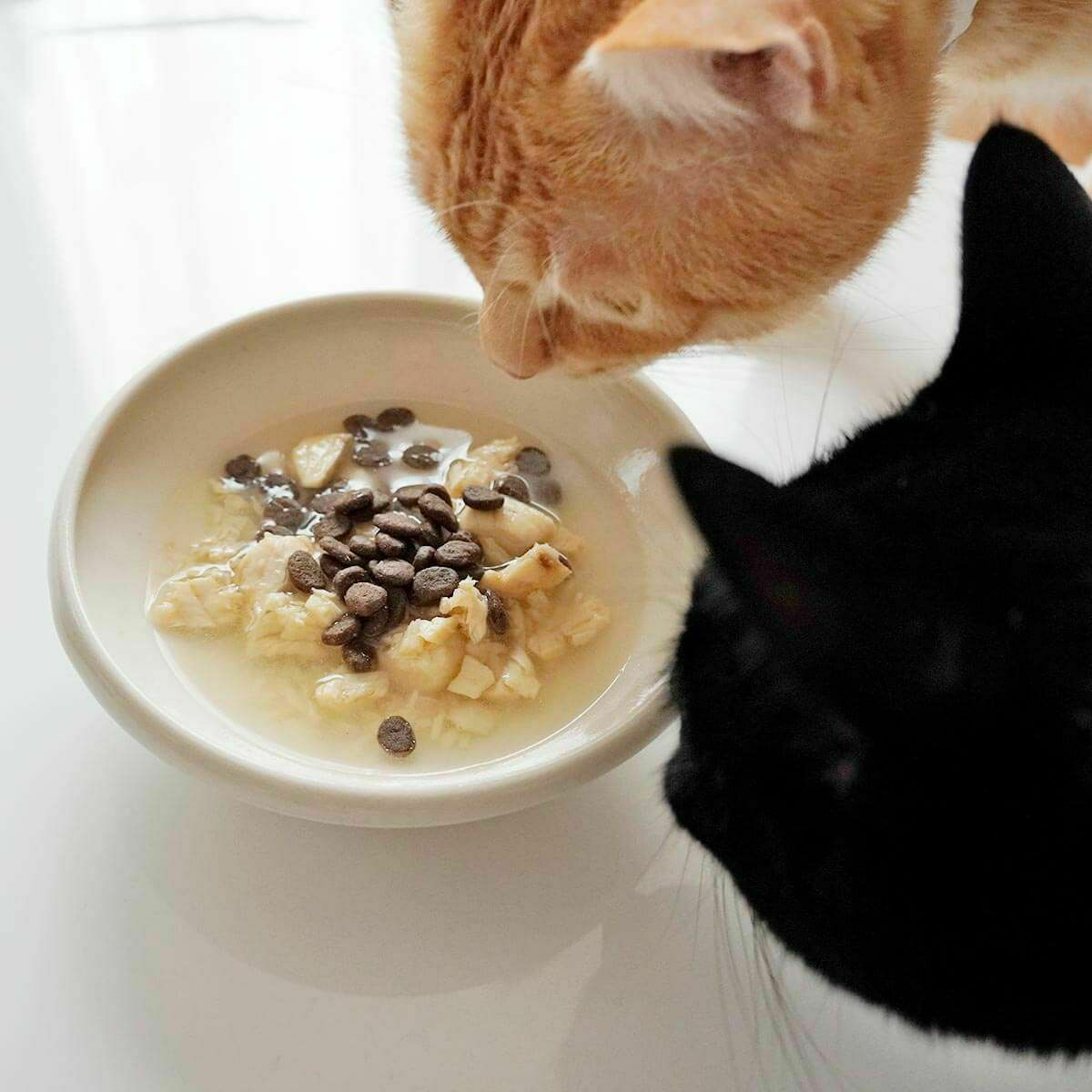 無添加のウェットフードねこずきのごはん