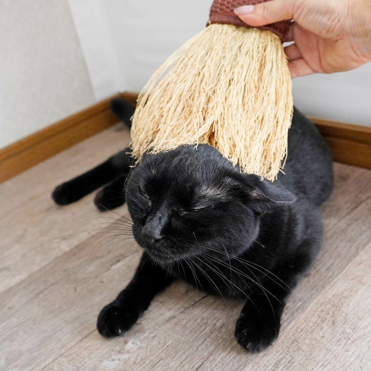 無農薬のホウキだからネコが舐めても安心。猫用ブラシなでねこ