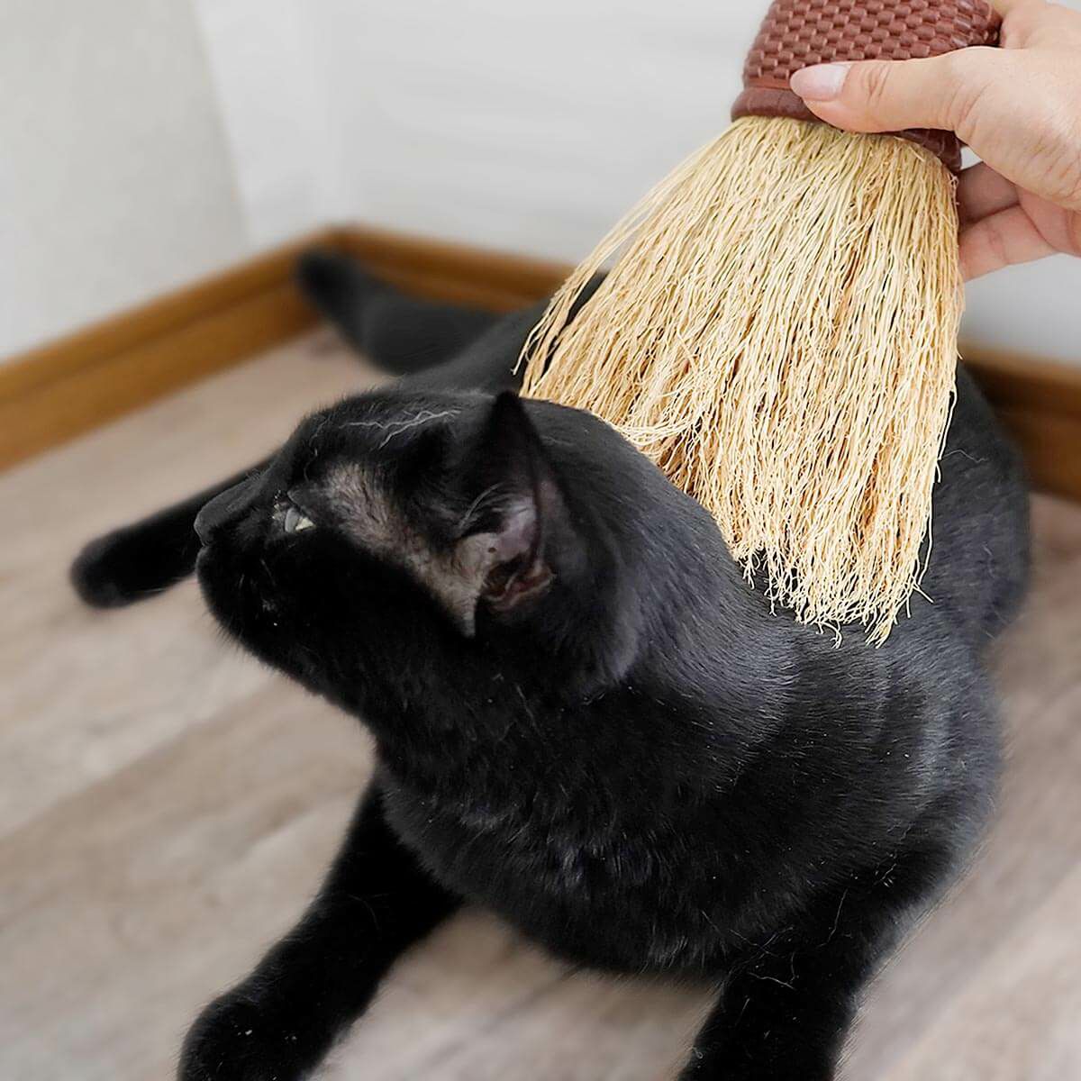 無農薬のホウキだからネコが舐めても安心。猫用ブラシなでねこ