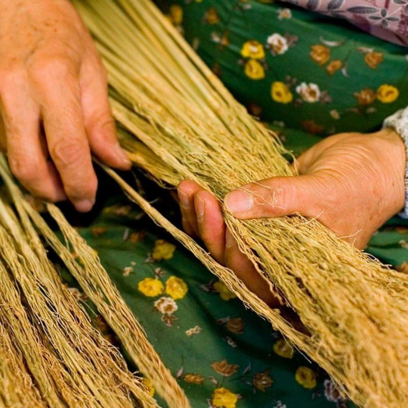 無農薬のホウキだからネコが舐めても安心。猫用ブラシなでねこ