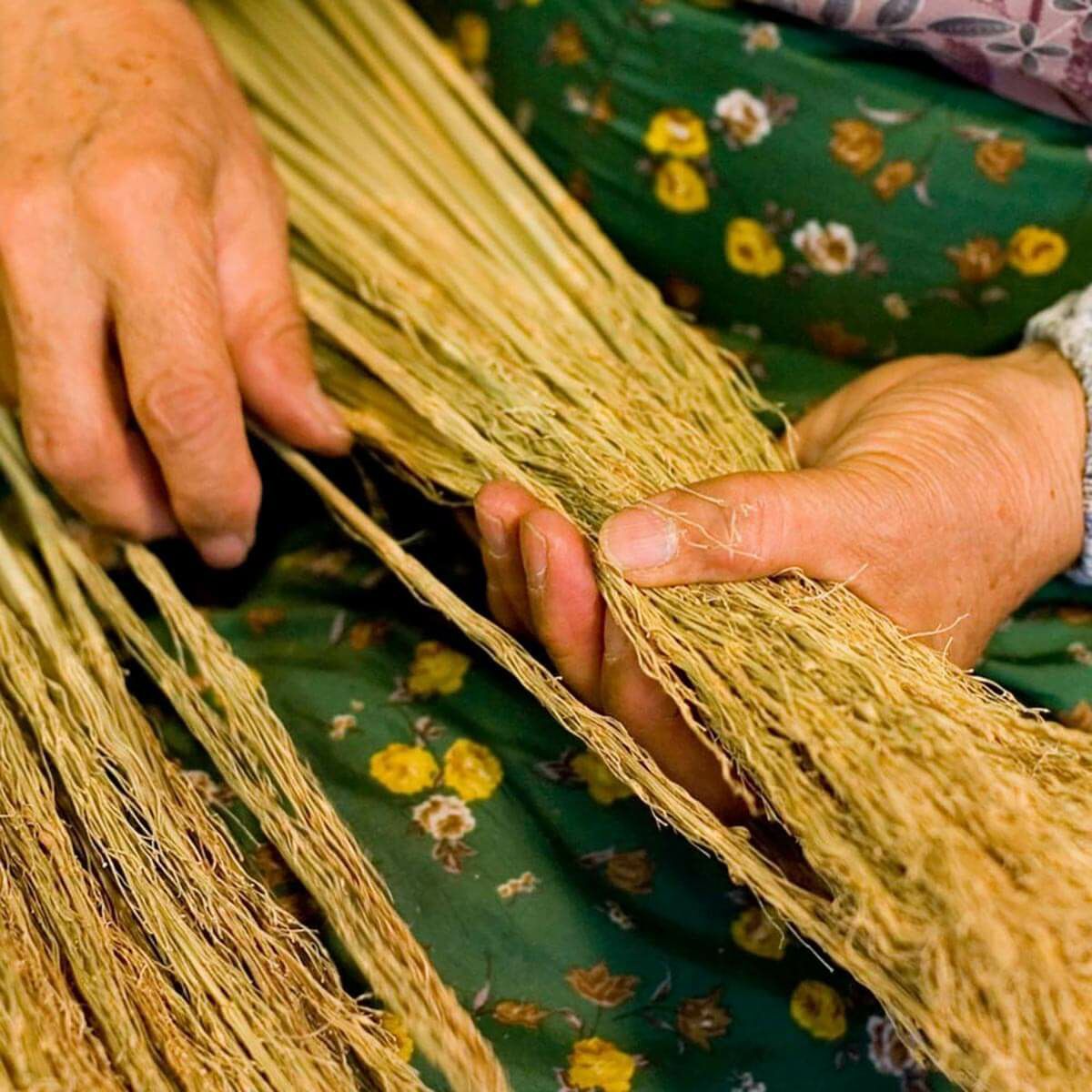 無農薬のホウキだからネコが舐めても安心。猫用ブラシなでねこ