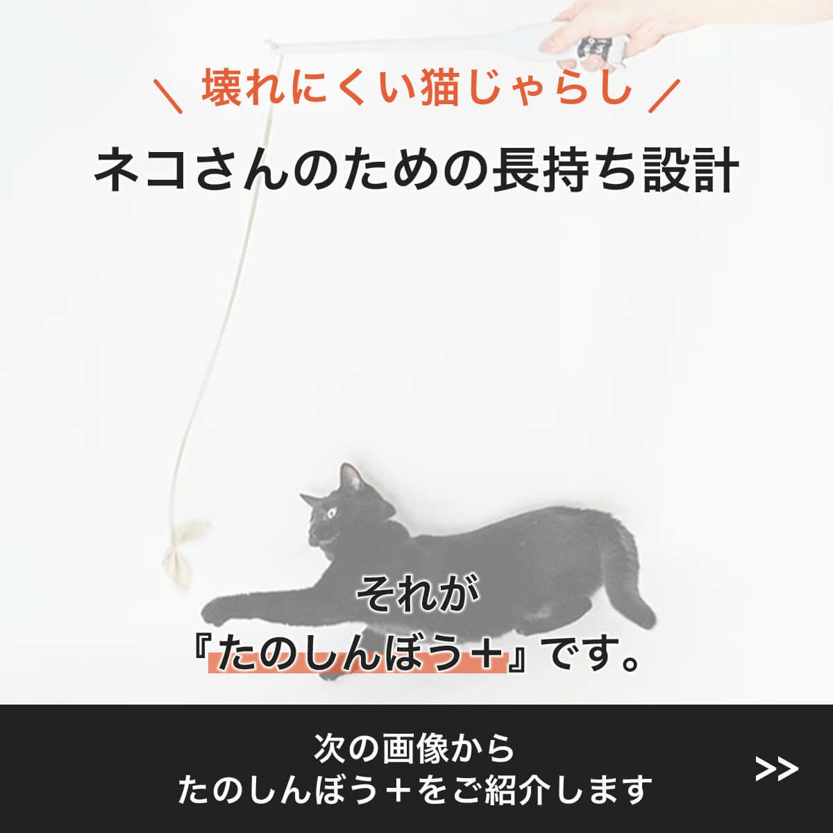 竹のしなりがネコの狩猟本能を刺激。猫用おもちゃたのしんぼう＋