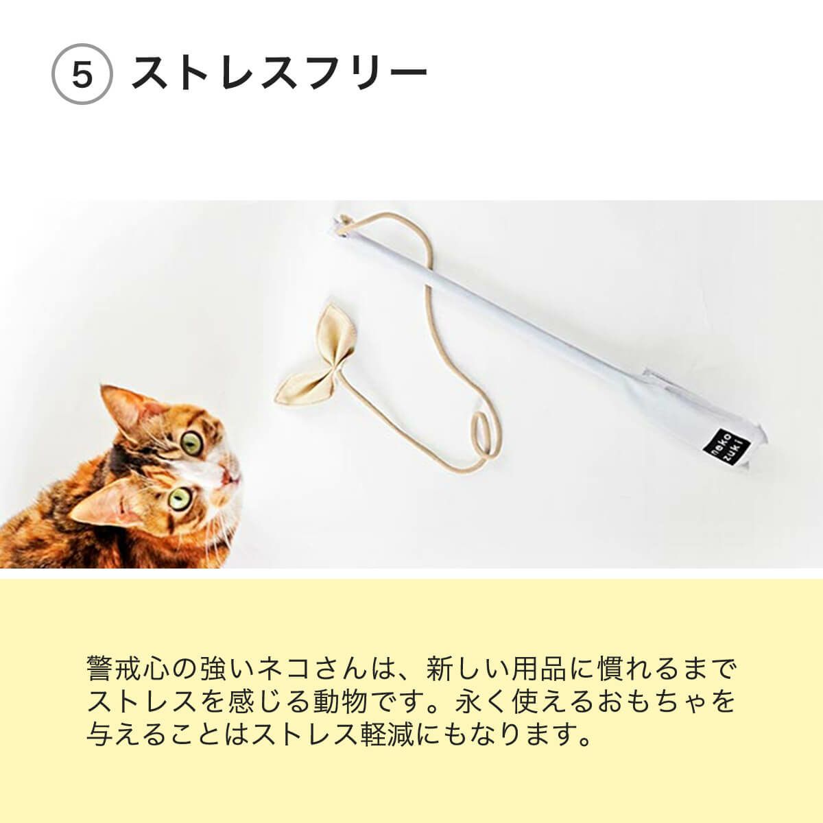 猫用おもちゃたのしんぼう＋はストレスフリー
