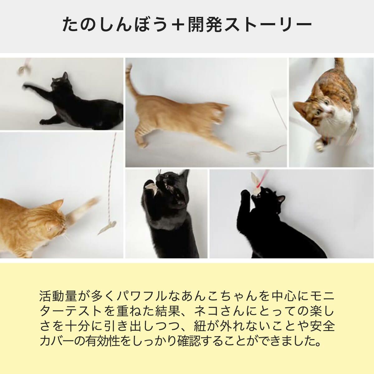 猫用おもちゃたのしんぼう＋開発ストーリー