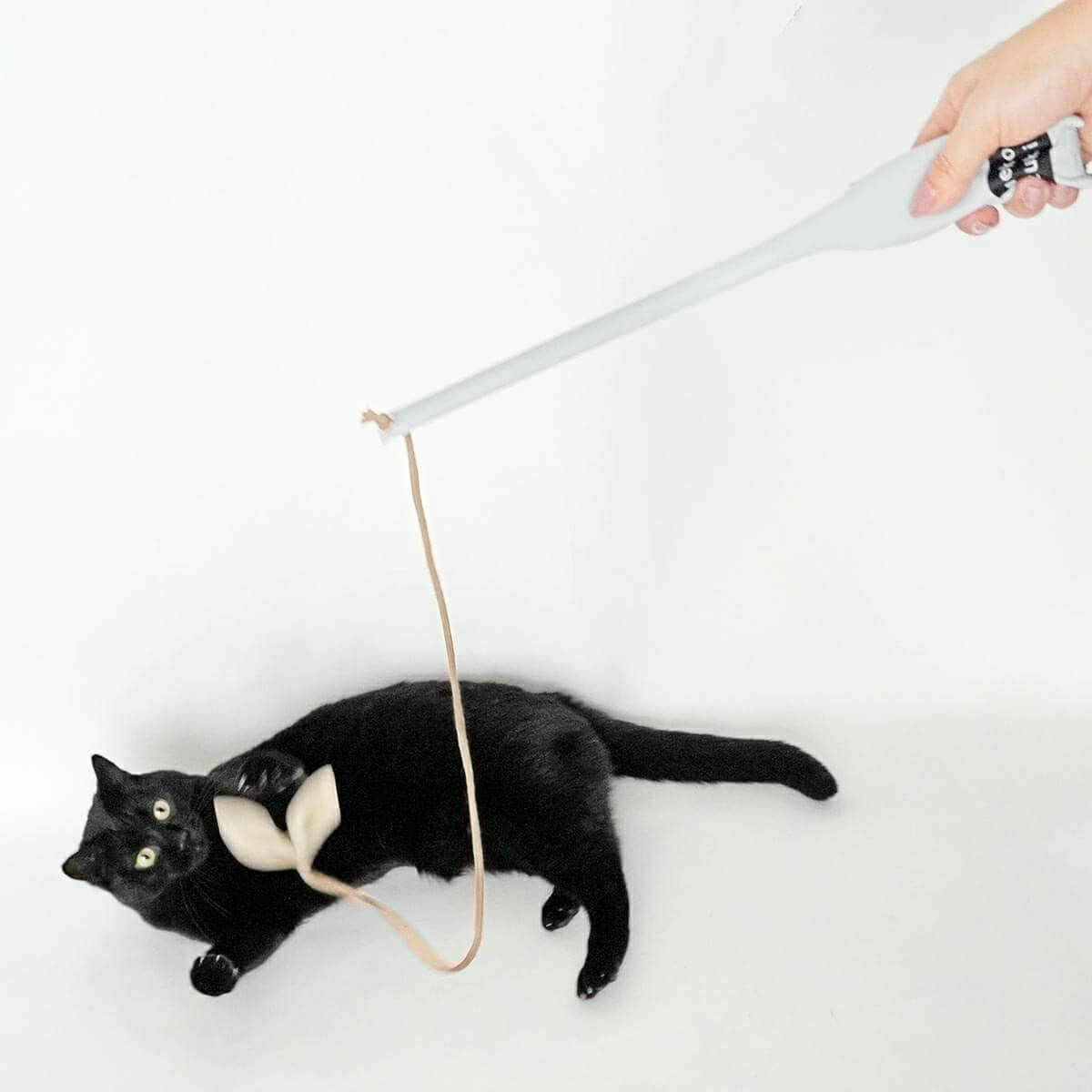 竹のしなりがネコの狩猟本能を刺激。猫用おもちゃたのしんぼう＋