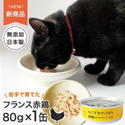 ネコさんの夏のおすすめグッズ：ねこずきのごはん
