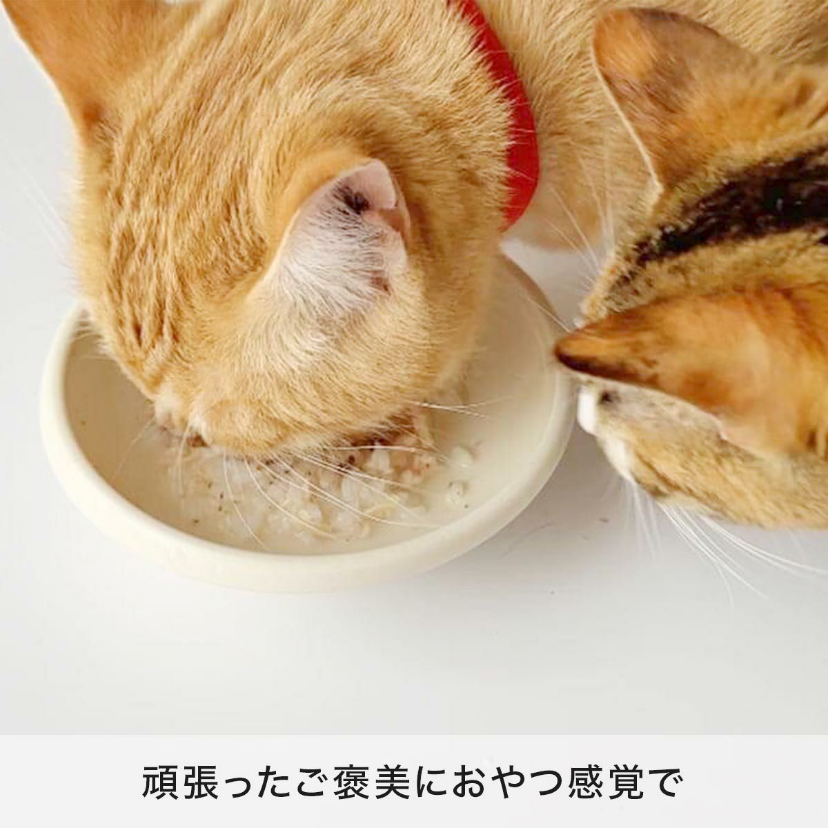 ねこずきのふりかけ おやつにも