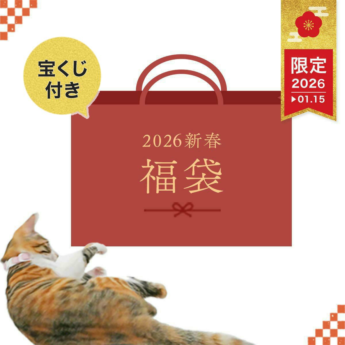 ネコ好き出品　4袋 猫さんの福袋2026 | nekozuki（ねこずき）猫用品の販売